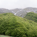 0043-landschap