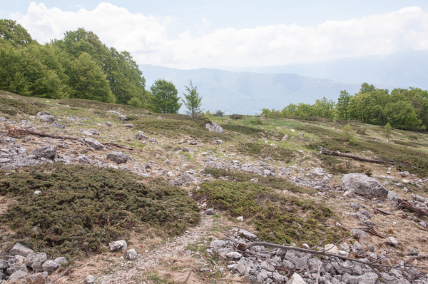 0119-landschap