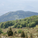 0175-landschap