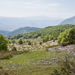 0176-landschap