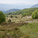 0177-landschap