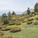 0182-landschap