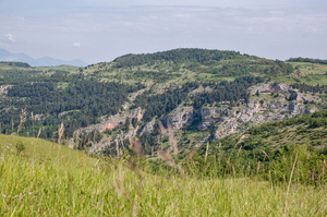 0033-landschap