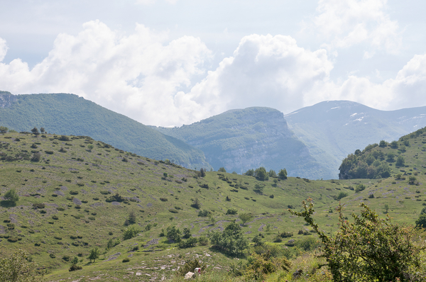 0040-landschap
