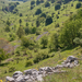 0054-landschap
