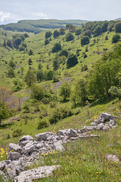 0054-landschap