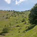 0059-landschap