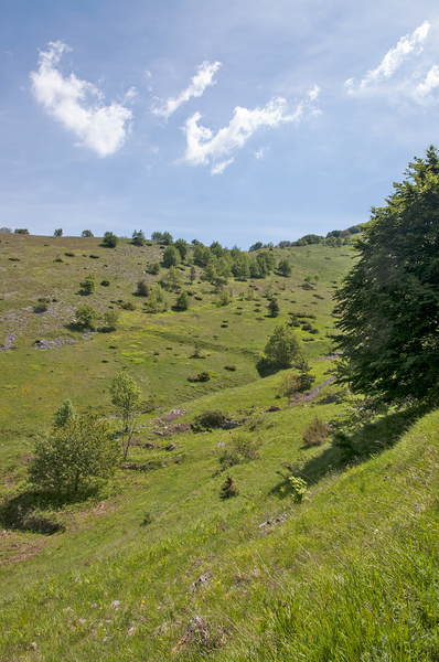 0059-landschap