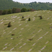 0099-landschap