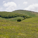 0105-landschap