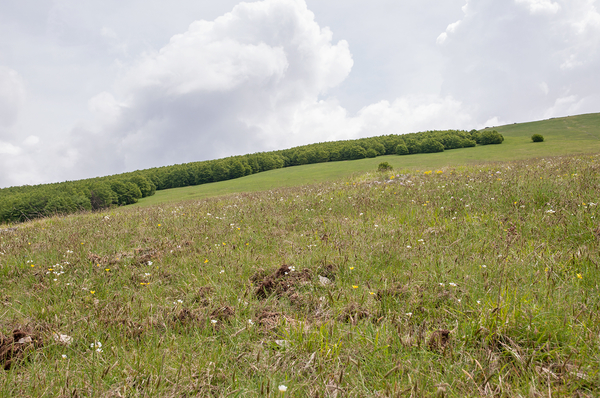 0117-landschap