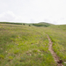 0123-landschap