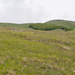 0124-landschap