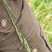 0128-gras-onbekend-2
