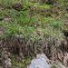 0205-grote-veldbies