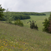 0215-landschap