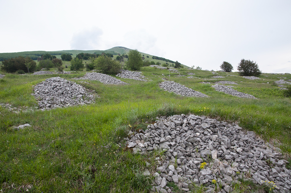 0230-landschap
