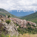 0002-landschap