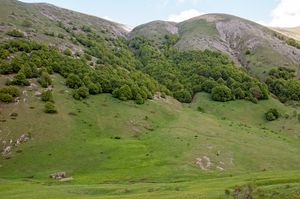 0059-op-weg-naar-rifugio-Selvabella-Passo-Godi