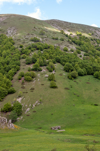 0061-op-weg-naar-rifugio-Selvabella-Passo-Godi