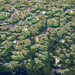 0073-godi-Vlottende-waterranonkel---Ranunculus-fluitans
