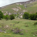 0077-godi-landschap