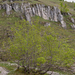 0208-landschap