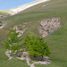 0226-landschap
