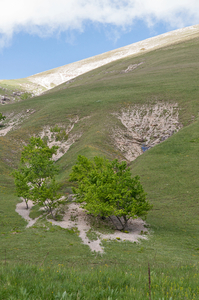 0226-landschap