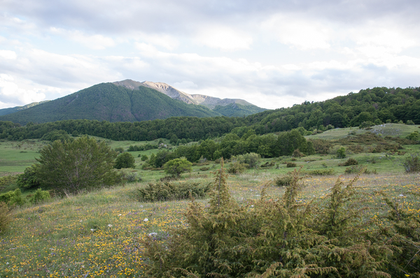 0260-landschap-SP17-67055-Gioia-dei-Marsi