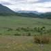 0261-landschap-SP17-67055-Gioia-dei-Marsi