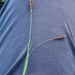 0268-carex-spec