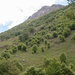 0015-landschap