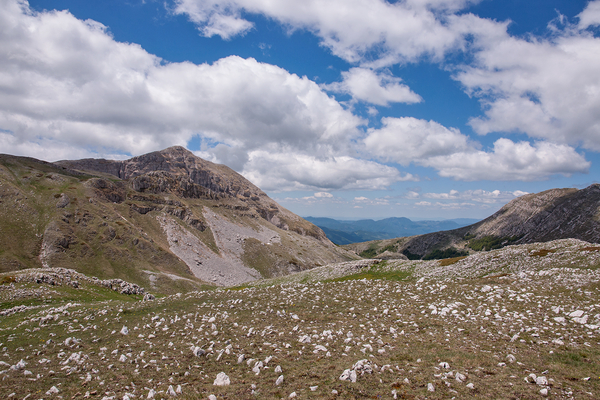 0080-landschap