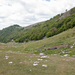 0123-landschap