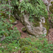 0209-boslandschap