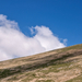 0060-landschap