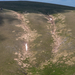 0067-landschap