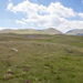 0137-landschap