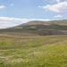 0140-landschap