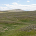 0142-landschap