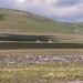0211-landschap