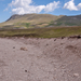 0263-landschap