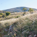 0302-stipa-landschap