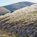 0304-stipa-landschap