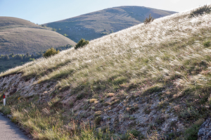 0304-stipa-landschap