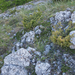 0320-landschap