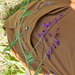 0068-Bonte-wikke-Vicia-villosa-hedges-scrub