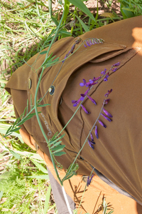 0068-Bonte-wikke-Vicia-villosa-hedges-scrub