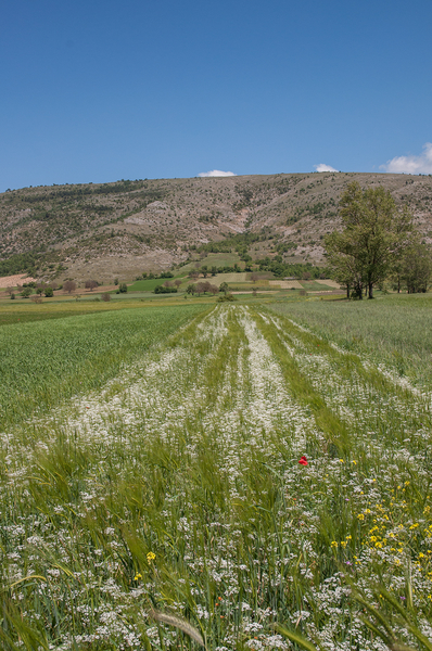 0101-landschap-met-holzaad